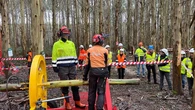 La innovación forestal gana peso en la estrategia gallega para el monte del futuro