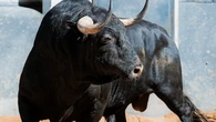 Estos son los serios toros de Victoriano del Río, garantía de Puerta Grande, para esta tarde en Las Ventas: Horario y dónde ver por TV