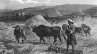 El trillo
