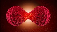 Estas son las 14 peticiones de los pacientes con cáncer metastásico