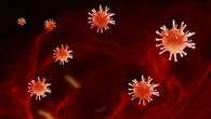 Ni 'ADN basura' ni un gen inútil: el descubrimiento que revela que sin este antiguo virus la vida es imposible