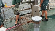 Pesca ilegal en Laredo y Santoña: descubren 51 nasas y una red de un kilómetro