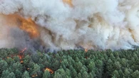Un incendio sin precedentes devora 800 hectáreas del emblemático bosque de Fontainebleau, a las afueras de París