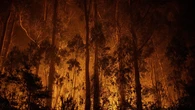 Alerta de incendio en Cataluña: 23 municipios de Barcelona, Tarragona y Lleida en peligro muy alto este domingo