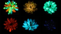 Plantas de Avatar: científicos crean suculentas que brillan en la oscuridad