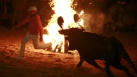 El Toro Jubilo de Medinaceli es declarado de forma oficial Bien de Interés Cultural Inmaterial