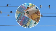 Precio de la luz hoy, martes 23 de junio, por horas: Guía completa tras la nueva subida del MWh que no da respiro a los consumidores