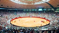 Burgos logra un récord histórico con más de 5.000 abonados y se sitúa en la élite taurina mundial