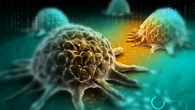 ¿Por qué los tratamientos contra el cáncer no siempre cumplen con las expectativas? La ciencia encuentra una explicación