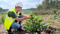 Un monte más rentable y mejor protegido: el reto forestal de Galicia