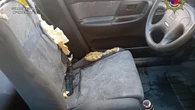 La prolongada agonía de un galgo que murió encerrado en un coche a 46º C