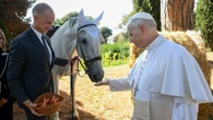 El Pura Raza Española, el caballo del Vaticano
