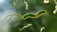 La bacteria 'silenciosa' que preocupa a los expertos: podría provocar cáncer