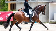 García Mena, triunfador del Campeonato de España de Doma Clásica