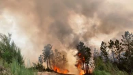 Las detenciones por incendios cayeron un 32 % en 2025 pese a que el fuego quemó 9 veces más