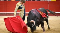 Daños colaterales