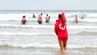 Así es Vibrio vulnificus, la bacteria 'carnívora' que ya preocupa a los organismos europeos con la llegada del verano