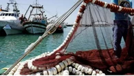Rusia y Marruecos establecen un progragra para evitar la sobreexplotación pesquera en aguas saharianas