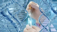 Identifican una nueva diana farmacológica para el síndrome del cromosoma X frágil