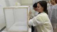 El aceite de pachulí, tan eficaz como los repelentes sintéticos de insectos