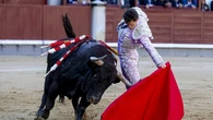 Ruina: ausencia de El Parralejo y petardo de Vellosino