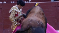 Cogidas, trofeo, vueltas, emoción... Cómo explicar la tarde de Garrido, Martín y Navalón y su ambición desmedida