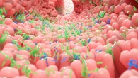Dos fármacos que combaten el riesgo cardiovascular, ¿los nuevos aliados frente al hígado graso?
