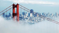 San Francisco, donde la primavera no responde a clichés 