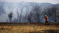 Unas 2.000 personas hacen una rave en Francia en un bosque asolado por un terrible incendio: "Tan peligroso como indigno"
