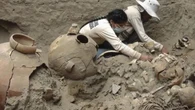 Descubren en China fósiles de más de 500 millones de años con cientos de ejemplares de animales prehistóricos