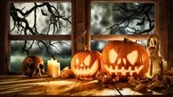 Lidl lanza su colección de plantas de Halloween: decoración natural y temática por menos de 8 €