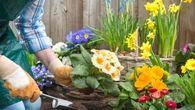 Estas son las plantas que aguantan el otoño y no pueden faltar en tu jardín