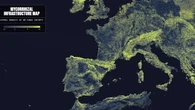 Descubren la mayor infraestructura biológica del planeta: abarca mil millones de veces la distancia que nos separa del Sol