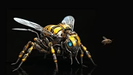 Asiática: La avispa Teminator