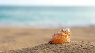 Las 10 mejores playas del mundo para visitar este verano: España se queda fuera del ranking