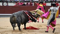El gaditano David Galván sale del hospital tras el escalofriante percance en Madrid