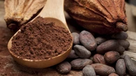 Cómo el cacao en polvo puede retrasar el envejecimiento cardiovascular y mejorar la salud cerebral