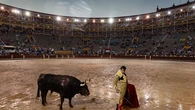 Del clavel a la seriedad: la tormenta saca una potente versión de Roca Rey, Talavante y Hernández