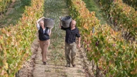 La Ruta del Vino Rioja Alta presenta en Madrid la campaña “Es por esto”