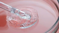Este es el activo más preciado de la belleza facial