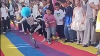 Viral: El robot que pateó a un niño en China