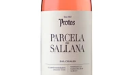Protos lanza Parcela de Sallana 2024