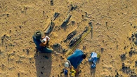 Descubren cientos de huevos de dinosaurio de varias especies tras 70 millones de años enterrados
