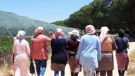 Los marroquíes creen que los hombres se merecen más los puestos de trabajo que las mujeres