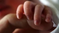 Los neonatólogos, contrarios a la retirada del cribado prenatal de toxoplasmosis