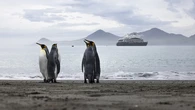 El arte de la exploración polar con acento francés y lujo responsable