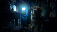 La película “Good Boy” arrasa en el cine independiente con una historia de terror tan inquietante como inesperada