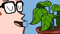 Ni el brillo ni densidad, este es el verdadero motivo por que hablar a las plantas hace que crezcan más sanas