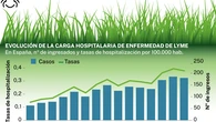 El aumento del calor y de las garrapatas dispara los casos de Lyme