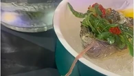 Encuentra un gusano vivo en un plato de ostras y alucina con la respuesta del restaurante: "Tranquilo…"